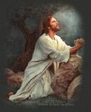 th_jesusgardentop